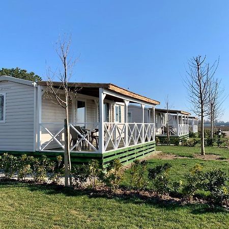 Agriturismo Nonno Mario Fossone d'Adige エクステリア 写真